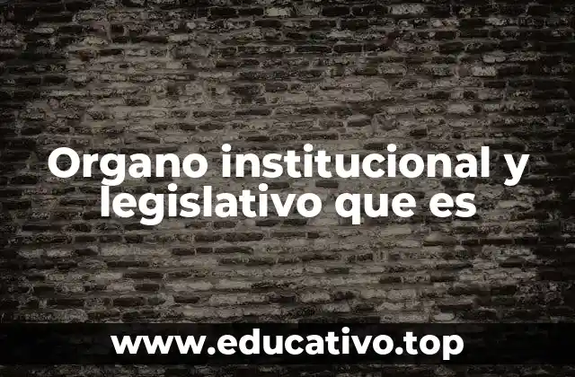Organo institucional y legislativo que es
