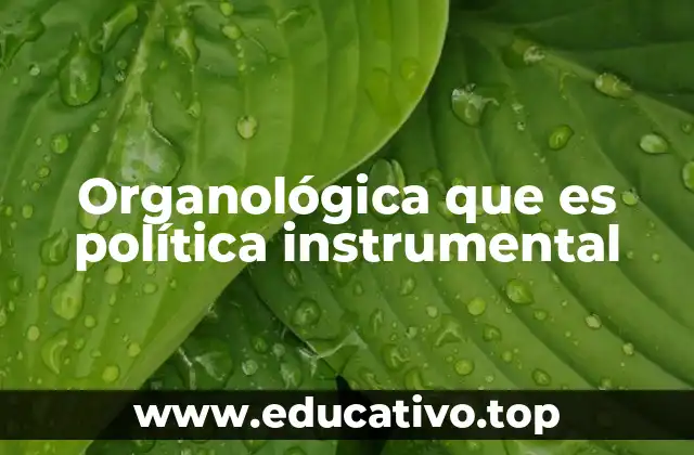 Organológica que es política instrumental
