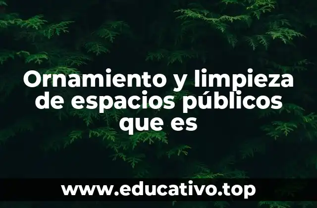 Ornamiento y limpieza de espacios públicos que es