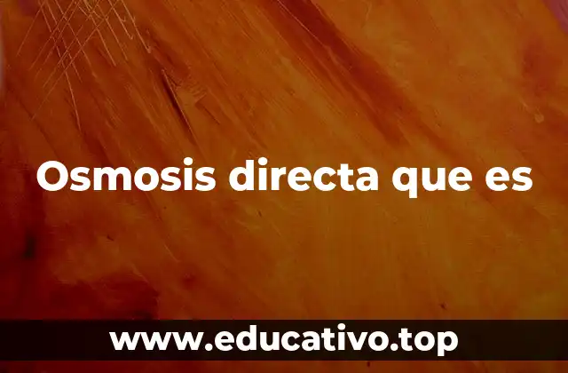 El papel de la membrana semipermeable en el proceso