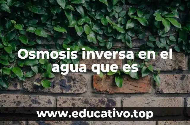 Osmosis inversa en el agua que es