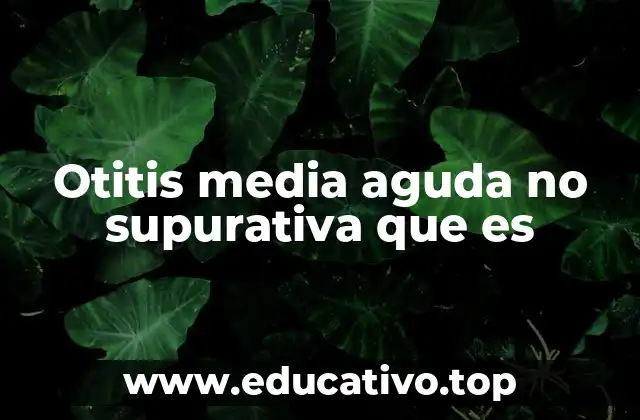 Otitis media aguda no supurativa que es