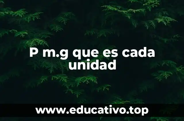 P m.g que es cada unidad