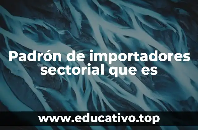 Padrón de importadores sectorial que es