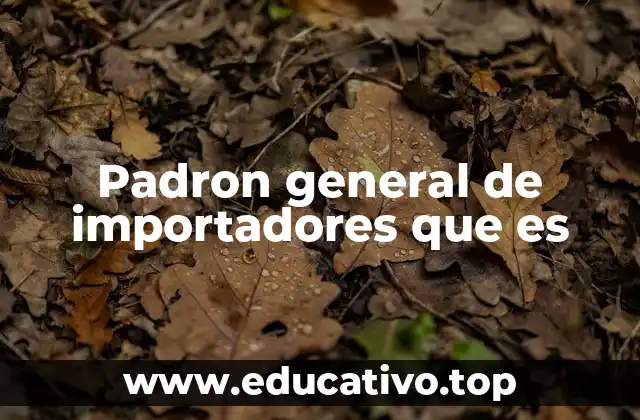 Padron general de importadores que es