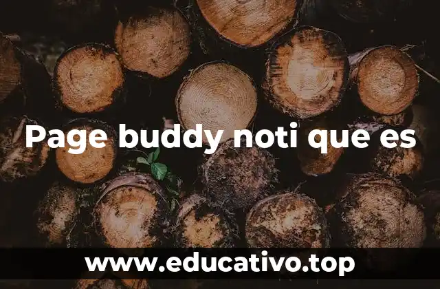 Page buddy noti que es