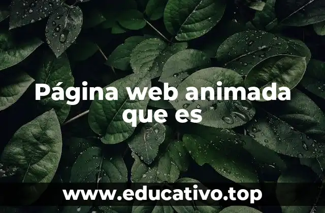 Página web animada que es