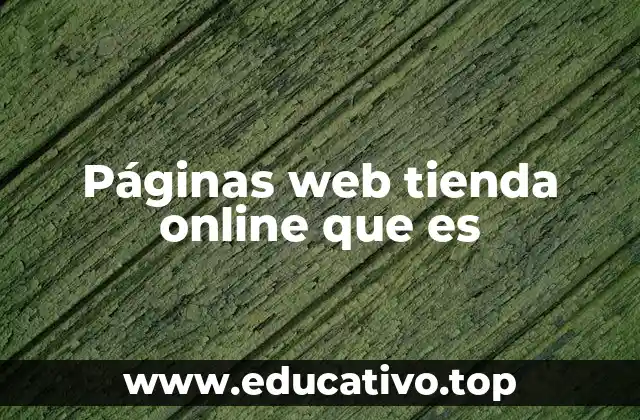Páginas web tienda online que es