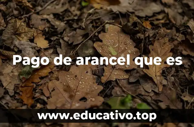 Pago de arancel que es