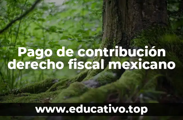Pago de contribución derecho fiscal mexicano