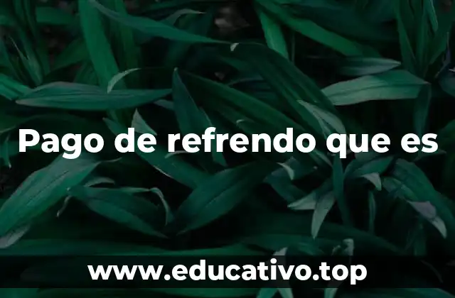 Pago de refrendo que es
