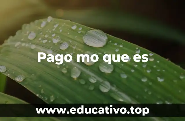 Pago mo que es