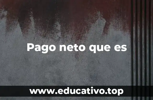 Pago neto que es