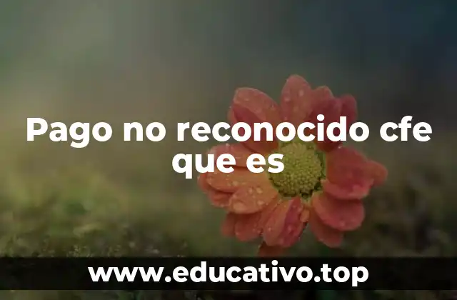 Pago no reconocido cfe que es