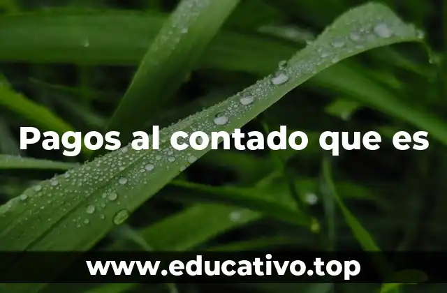 Ventajas de realizar transacciones sin plazos