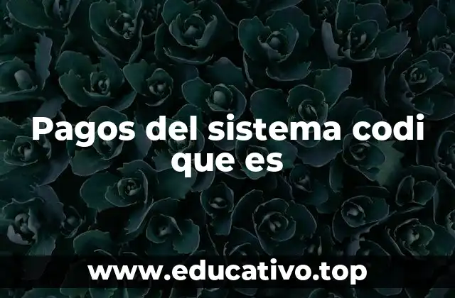 Pagos del sistema codi que es