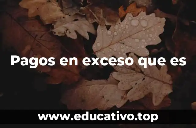 Pagos en exceso que es