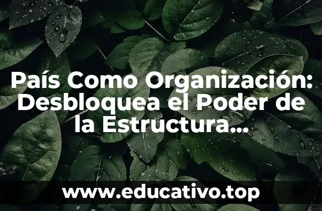 País Como Organización: Desbloquea el Poder de la Estructura Organizativa