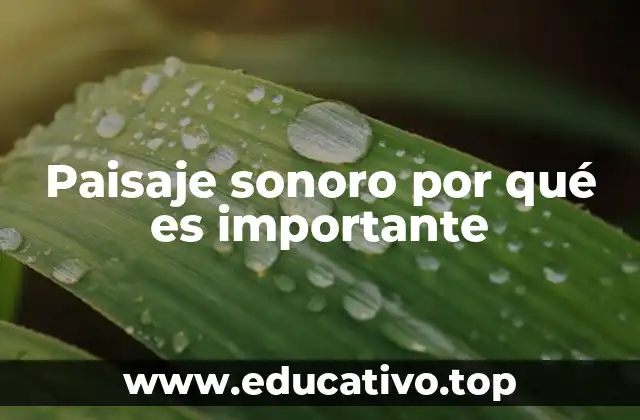 Paisaje sonoro por qué es importante