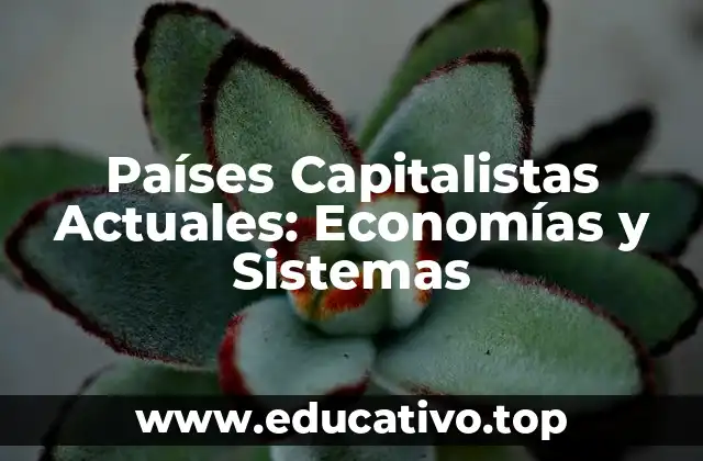 Países Capitalistas Actuales: Economías y Sistemas