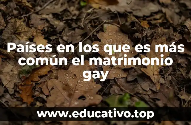 Países en los que es más común el matrimonio gay