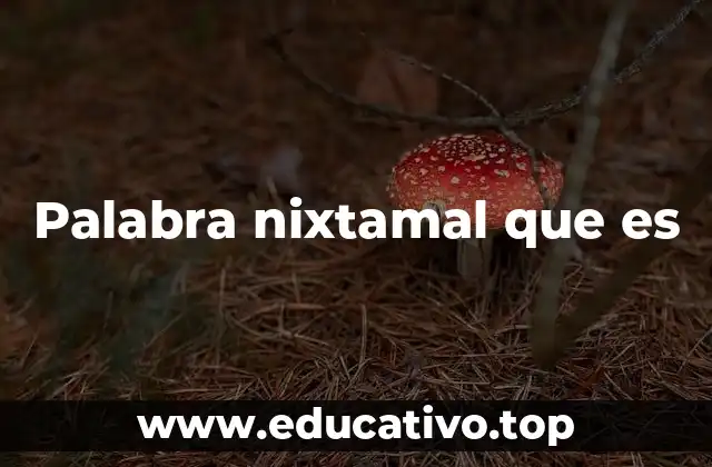 Palabra nixtamal que es