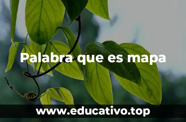 Palabra que es mapa