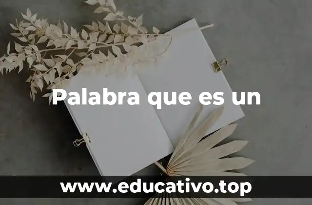 Palabra que es un
