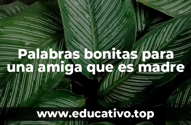 Palabras bonitas para una amiga que es madre