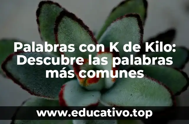 Palabras con K de Kilo: Descubre las palabras más comunes