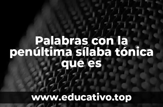 Palabras con la penúltima sílaba tónica que es