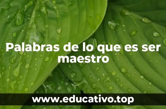 Palabras de lo que es ser maestro