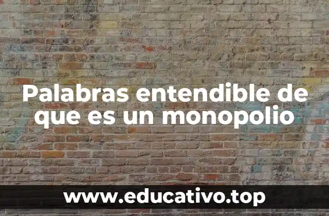 Palabras entendible de que es un monopolio