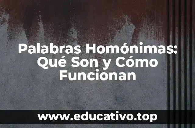 Palabras Homónimas: Qué Son y Cómo Funcionan