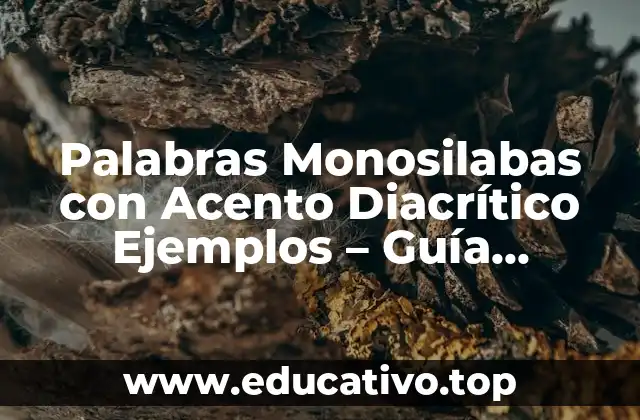 Palabras Monosilabas con Acento Diacrítico Ejemplos – Guía Completa