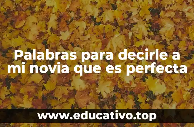 Palabras para decirle a mi novia que es perfecta