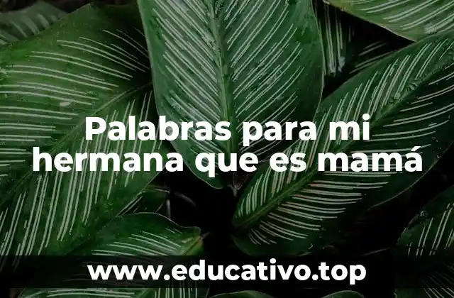 Palabras para mi hermana que es mamá