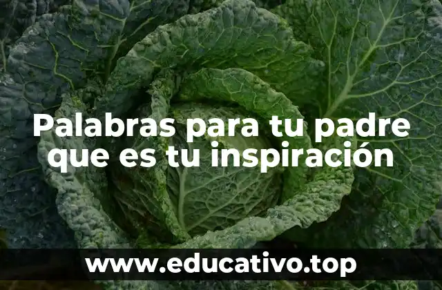 Palabras para tu padre que es tu inspiración