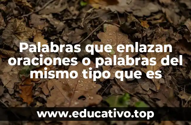 Palabras que enlazan oraciones o palabras del mismo tipo que es