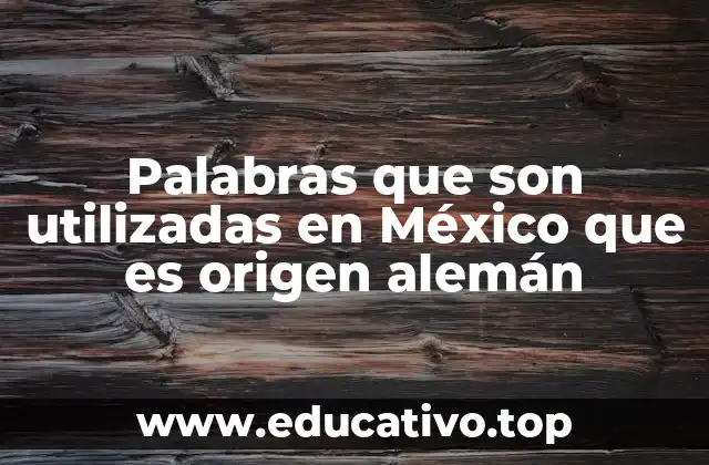 Palabras que son utilizadas en México que es origen alemán