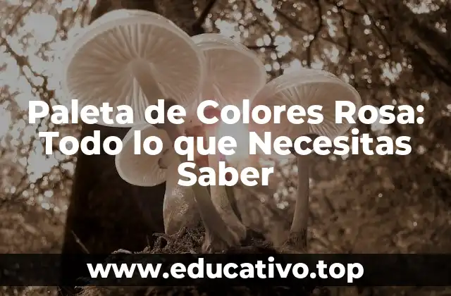 Paleta de Colores Rosa: Todo lo que Necesitas Saber