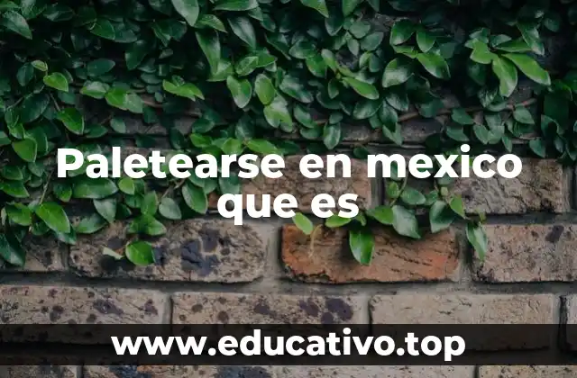 Paletearse en mexico que es