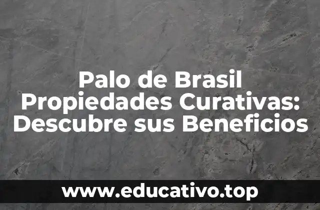 Palo de Brasil Propiedades Curativas: Descubre sus Beneficios