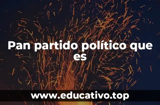 Pan partido político que es