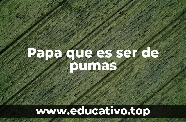 Papa que es ser de pumas