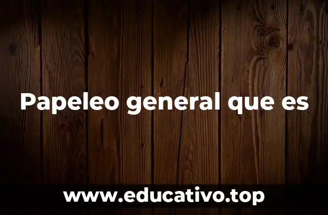 Papeleo general que es