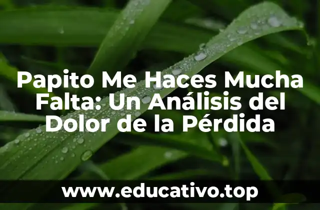 Papito Me Haces Mucha Falta: Un Análisis del Dolor de la Pérdida