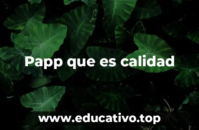 Papp que es calidad
