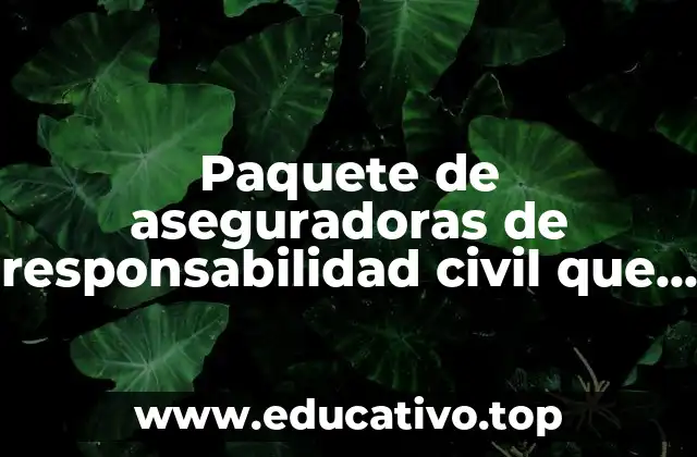 Paquete de aseguradoras de responsabilidad civil que es