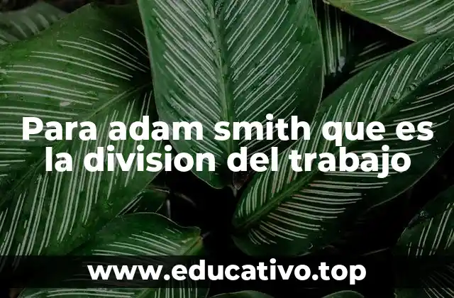 Para adam smith que es la division del trabajo